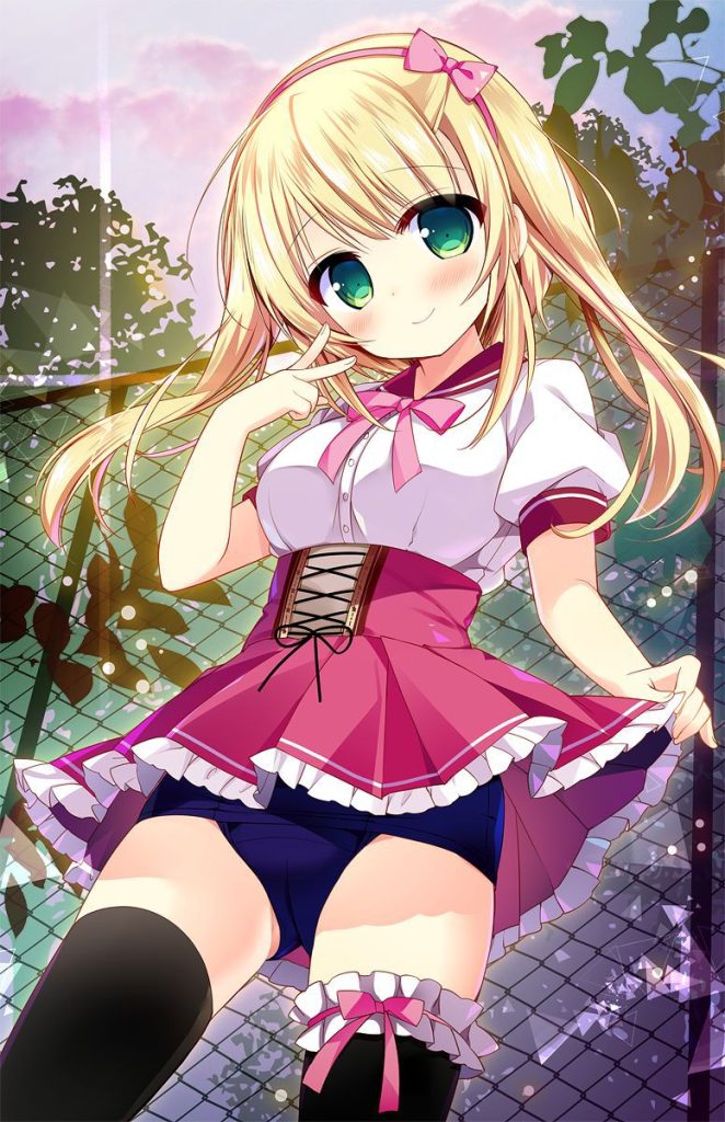 巨乳の二次エロ画像くだしあ。