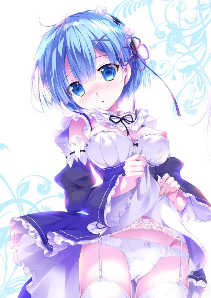 メイドの二次エロ画像を愛でる。