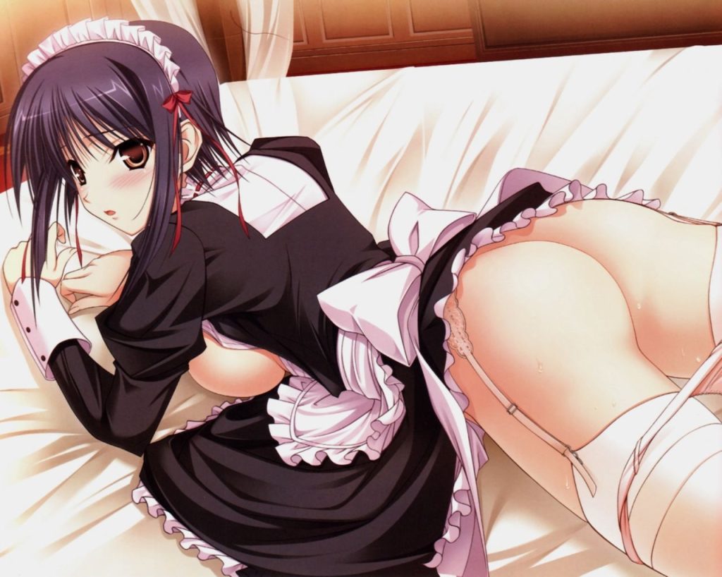 メイドの二次エロ画像を愛でる。