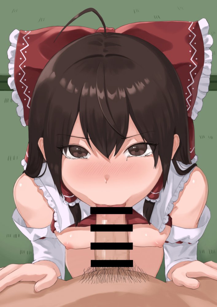 フェラチオのえっちなやつ