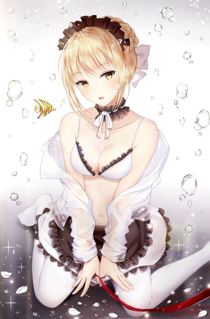 メイドのよさを再確認できるエロ画像