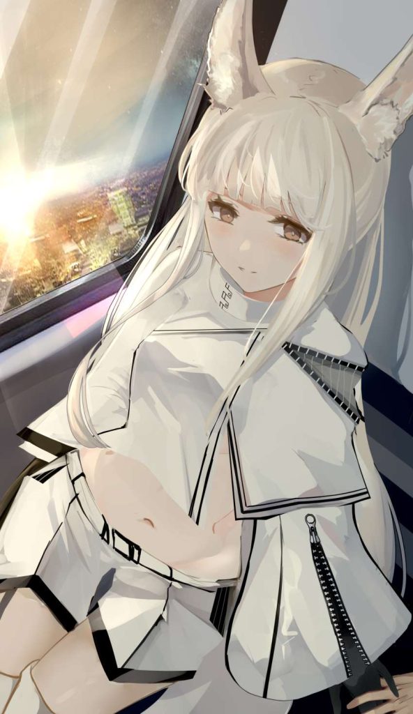 アークナイツの選り抜き画像♪