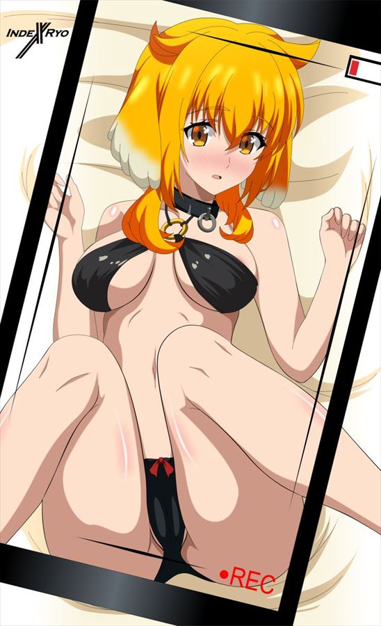 俺のとっておきのハーレムの画像フォルダを見せる