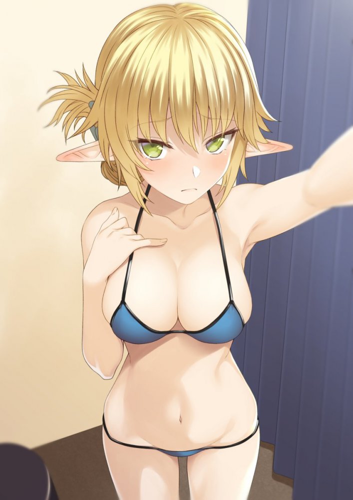 エルフ耳の二次エロ画像