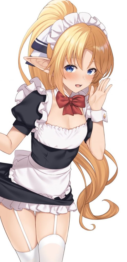 エルフ耳の二次エロ画像