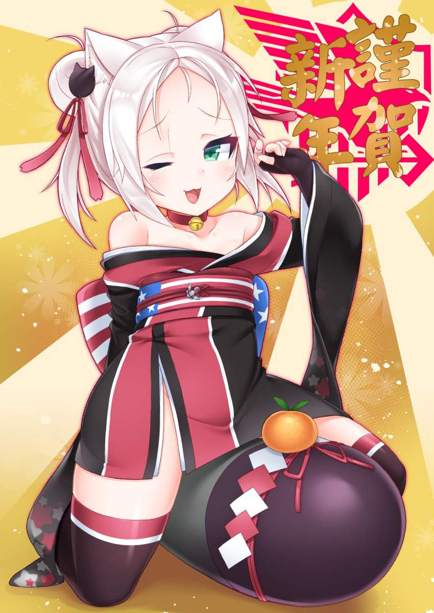 アズールレーンのエロ画像がほしい！