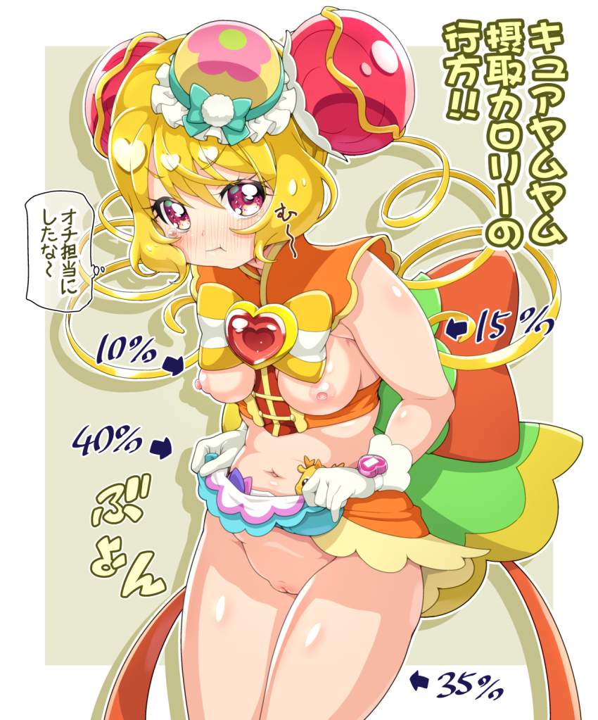 プリキュアのエロ画像下さい