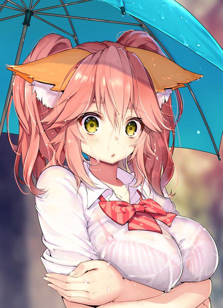 ケモ耳の虹エロ画像