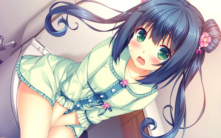 トイレのエロい画像