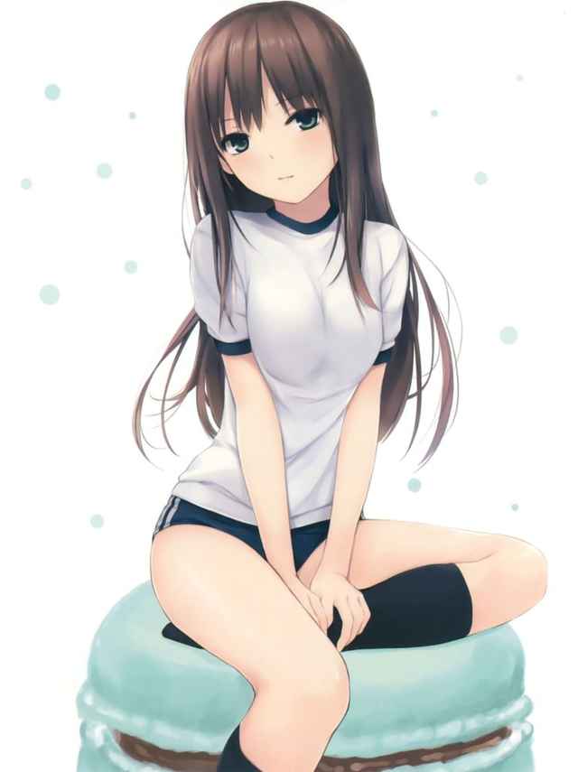 体操服・ブルマのエロ画像集めてみた