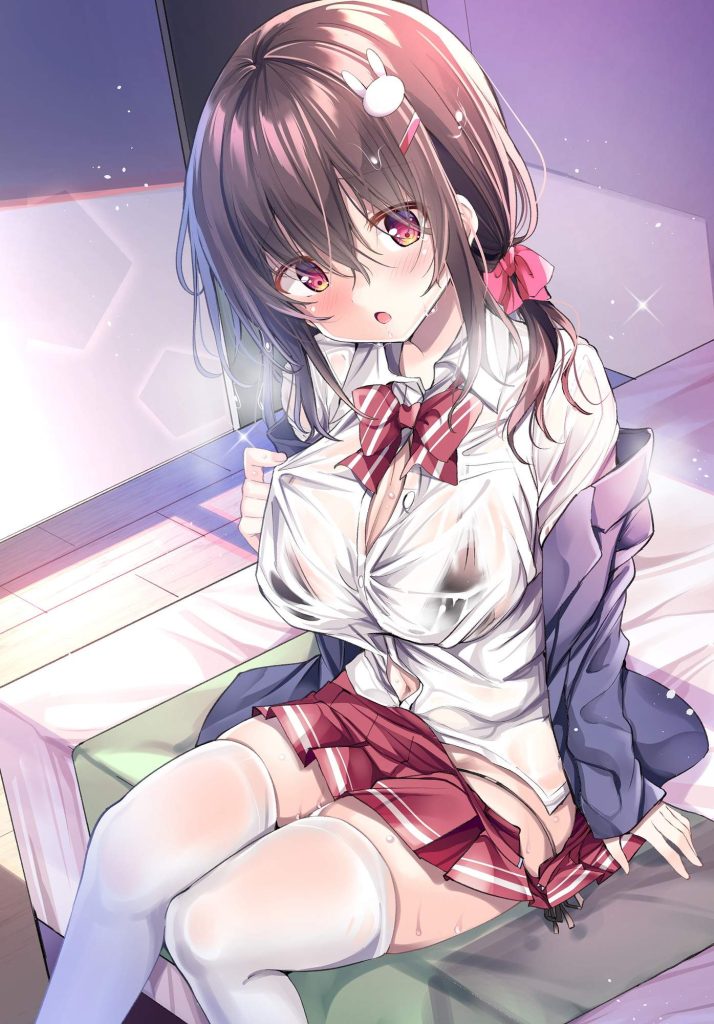 制服のエロ画像をランダムに貼っていくスレ