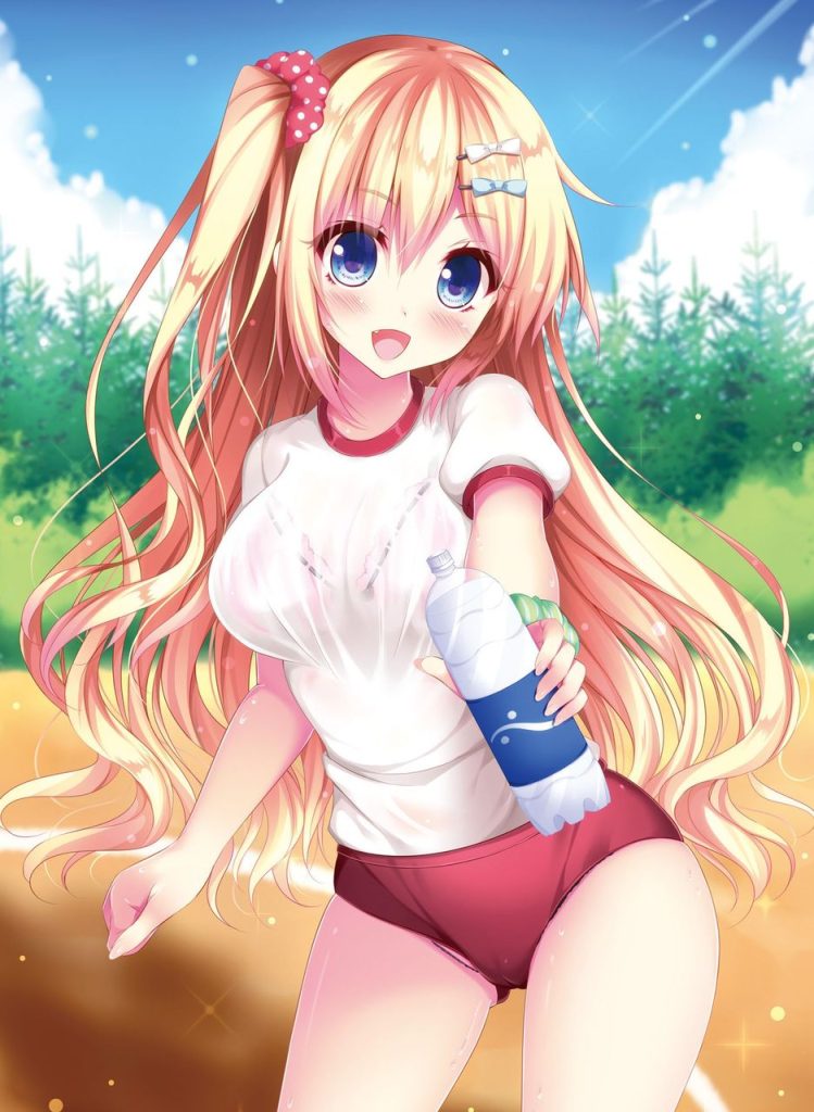 体操服・ブルマのエッチな部分を奥の奥まで堪能できるエロ画像
