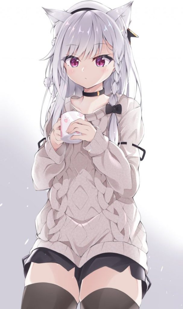 銀髪の二次フェチ画像。