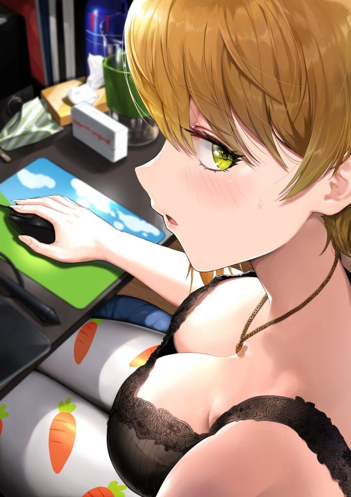 主観のエロ画像集めてみたよ!