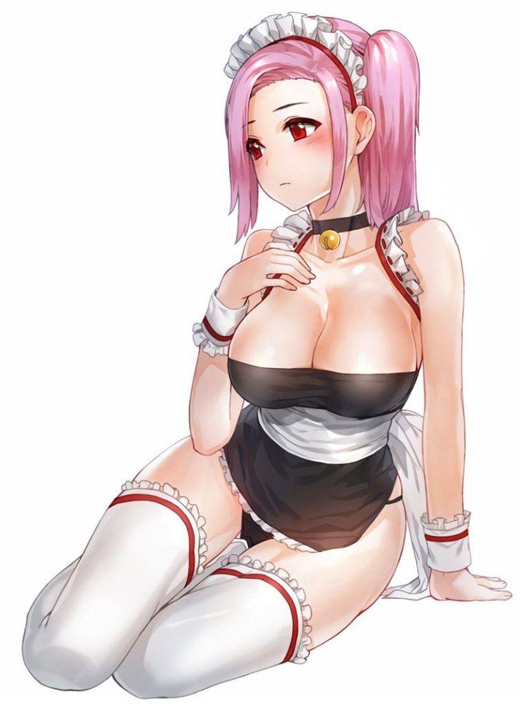 メイドの二次元エロ画像。