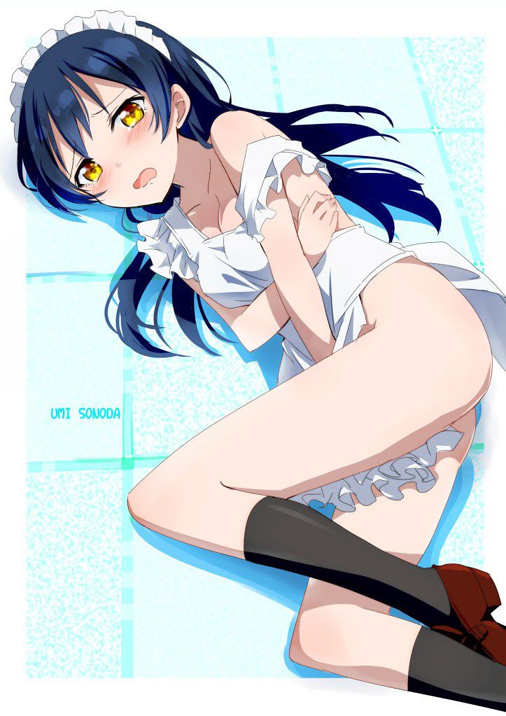 メイドのエロ画像を見て幸せになろう!