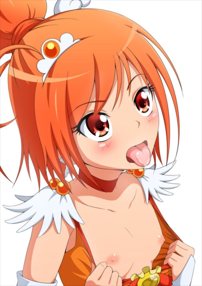 プリキュアのエロ画像下さい！