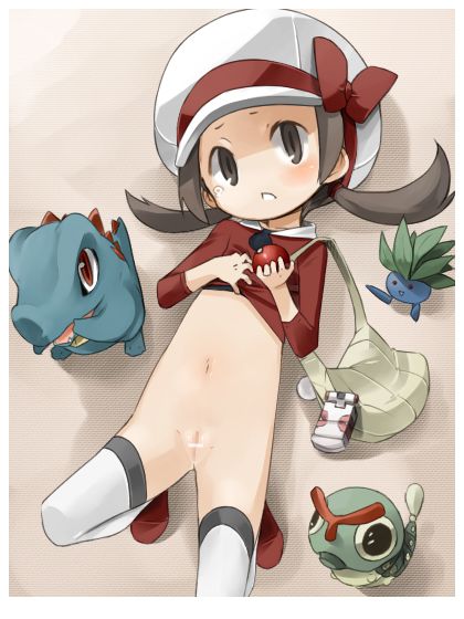 ポケットモンスターの二次エロ画像を愛でる。