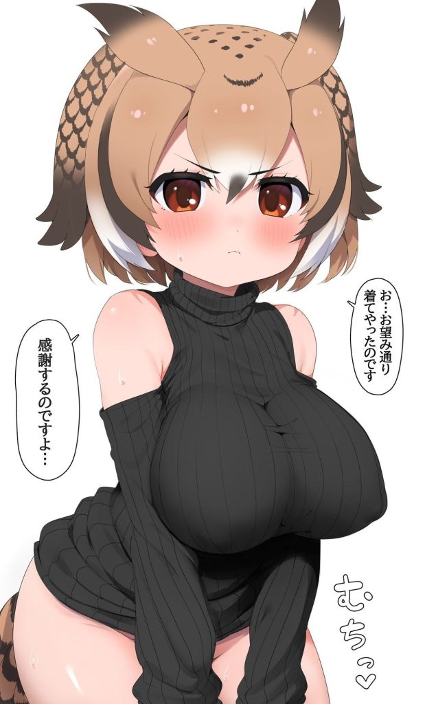 巨乳の秘密のエロ画像を収集