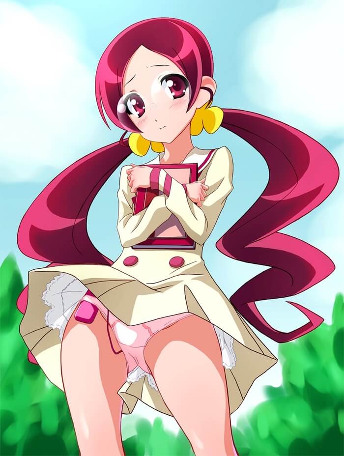 プリキュアのドエロい画像