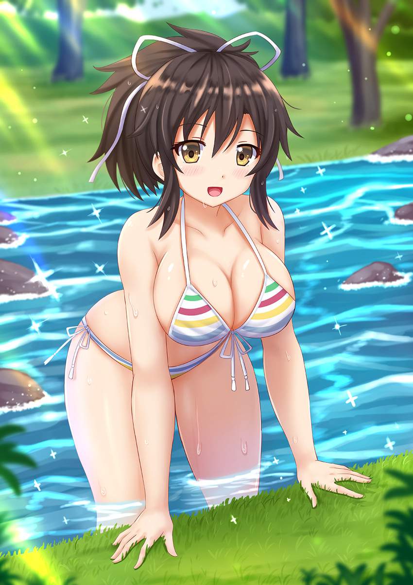 閃乱カグラのエロ画像フォルダを解放していく