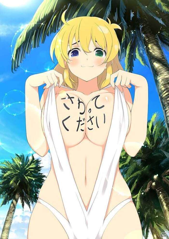 閃乱カグラが好きすぎて画像がいくらあっても足りない