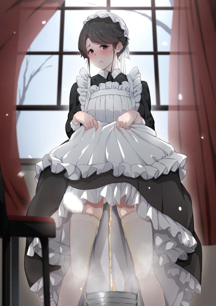 メイドの二次エロ画像を愛でる。