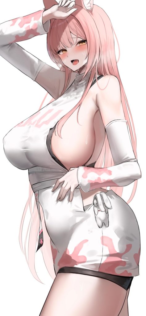 非エロの二次エロ画像を愛でる。