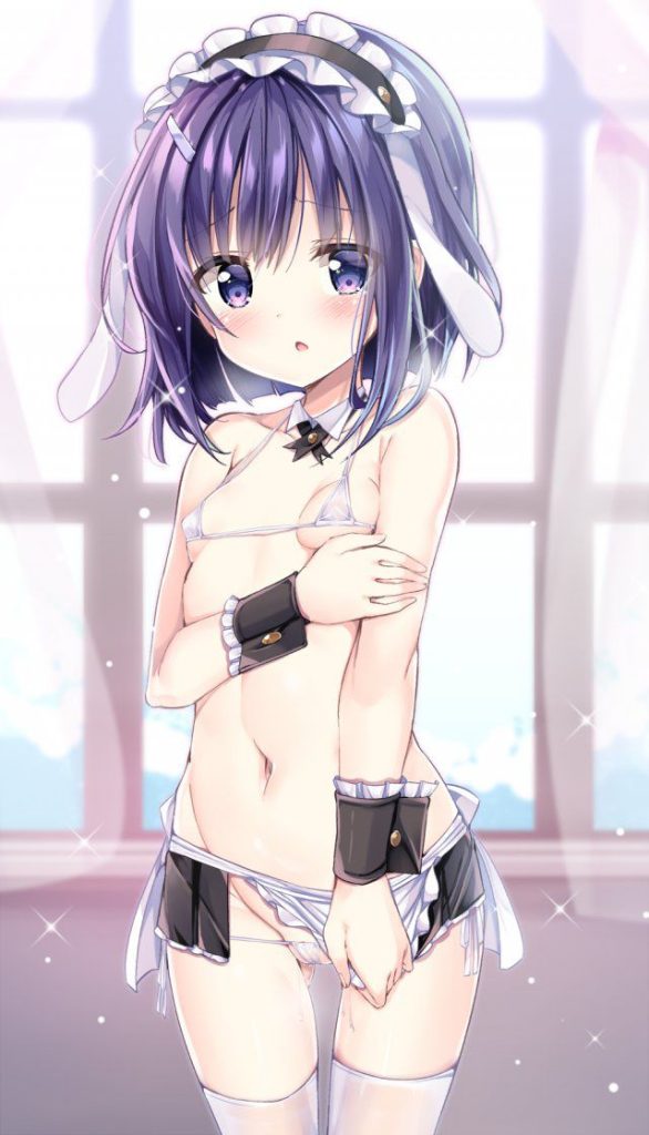 ビキニの超絶可愛くてセクシーな画像集！