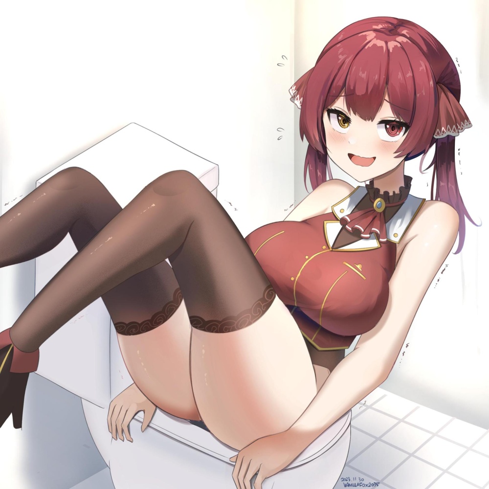 トイレのよさを再確認できるエロ画像