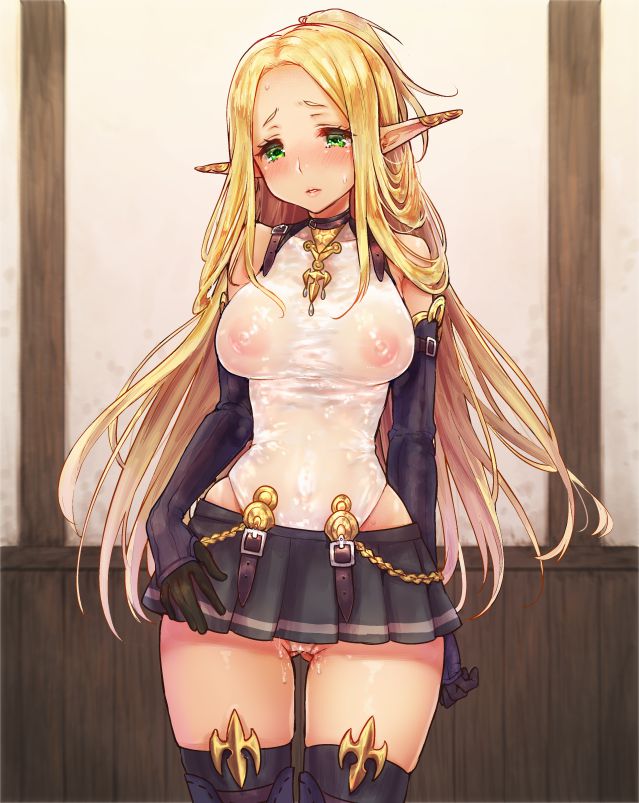 エルフのエッチな魅力が分かるエロ画像