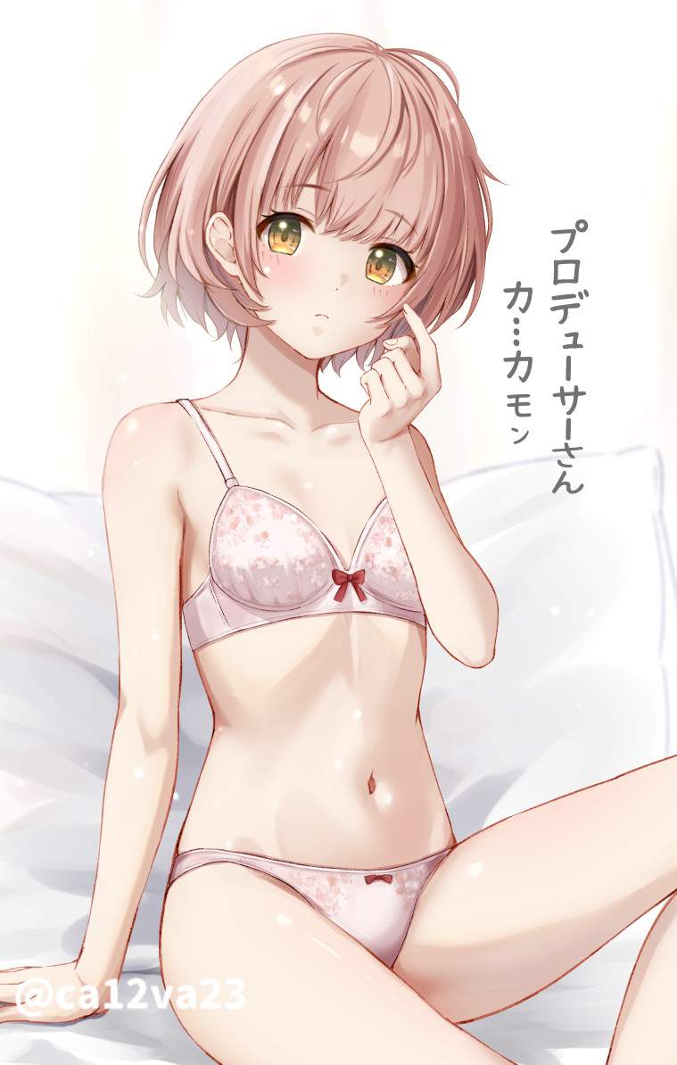 ブラジャーの二次エロ画像くだしあ。