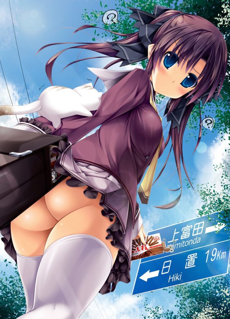 ローアングルの抜けるエロ画像まとめ！