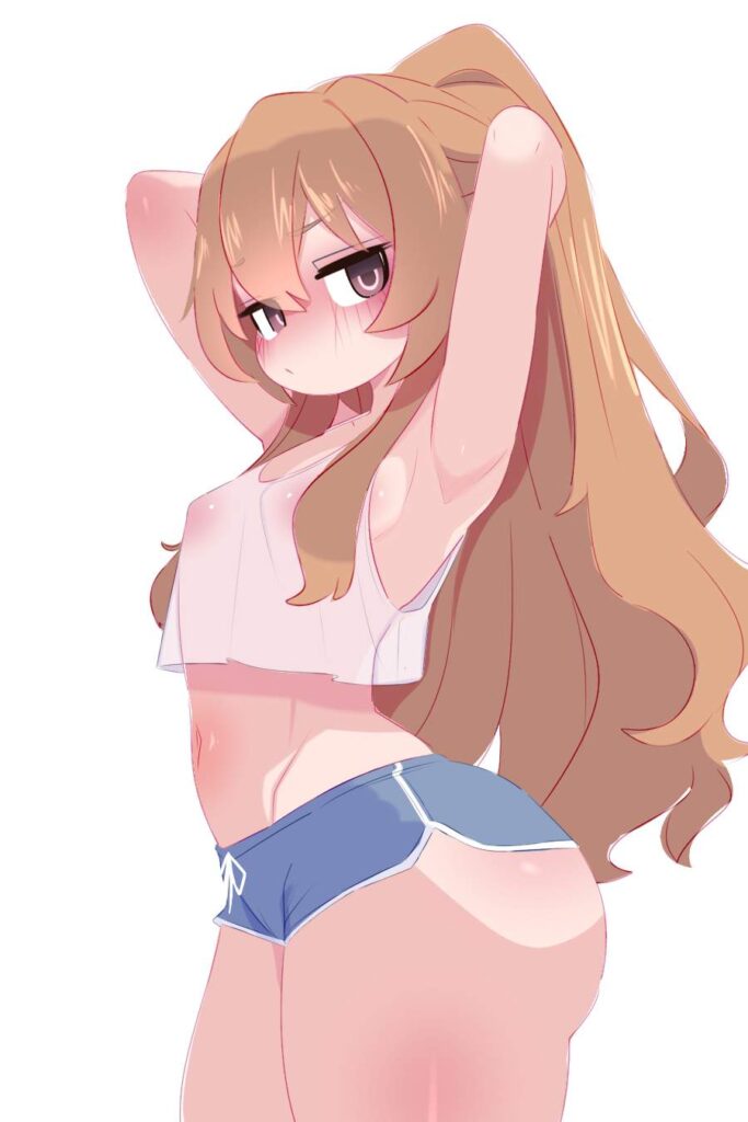 とらドラ！のエロ画像下さい