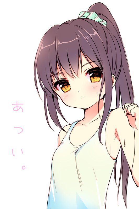 ポニーテールのエロ画像で抜きたくなったから貼ってくよ