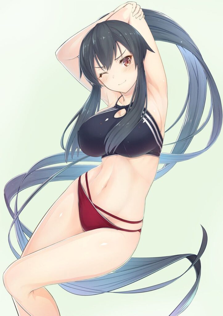 【二次】黒髪のメチャシコで可愛い女の子のエッチな画像
