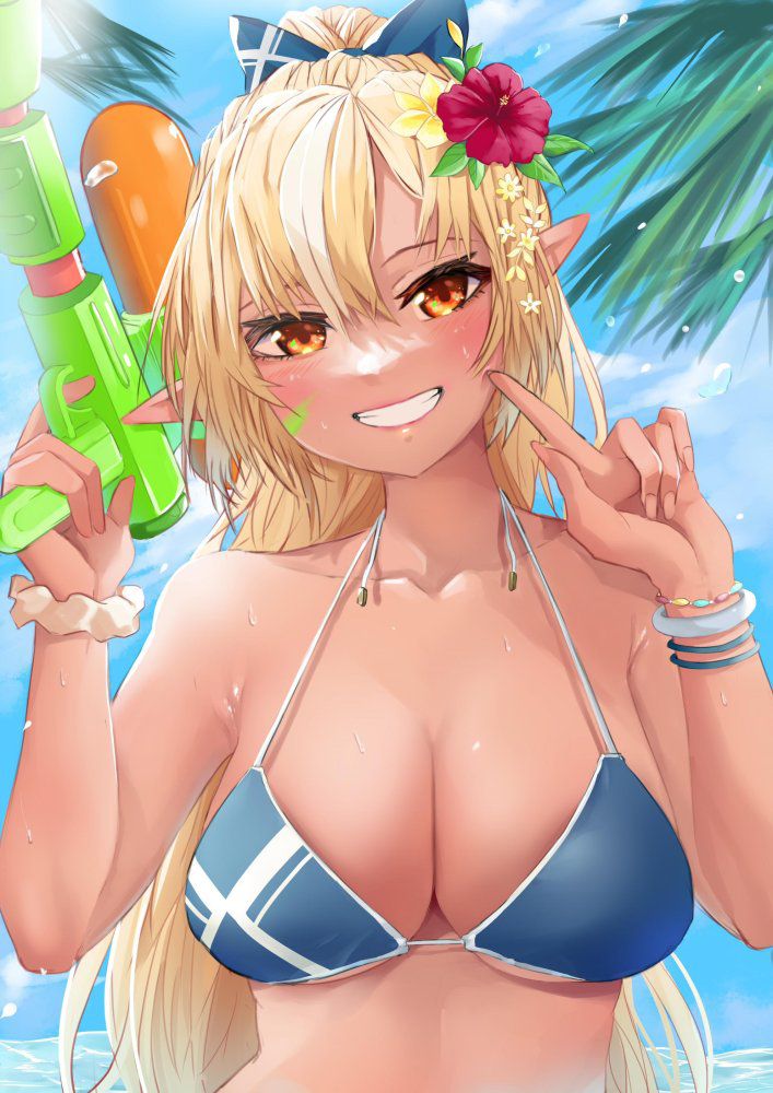 エルフの秘密のエロ画像を収集