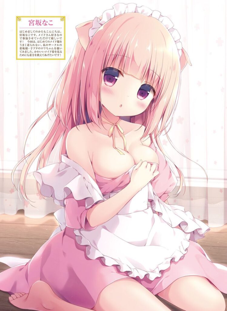 メイドのエロ画像をランダムに貼っていくスレ