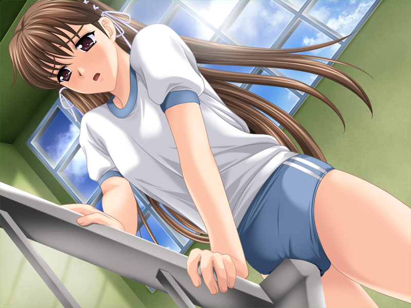 高画質な体操服・ブルマの画像ください