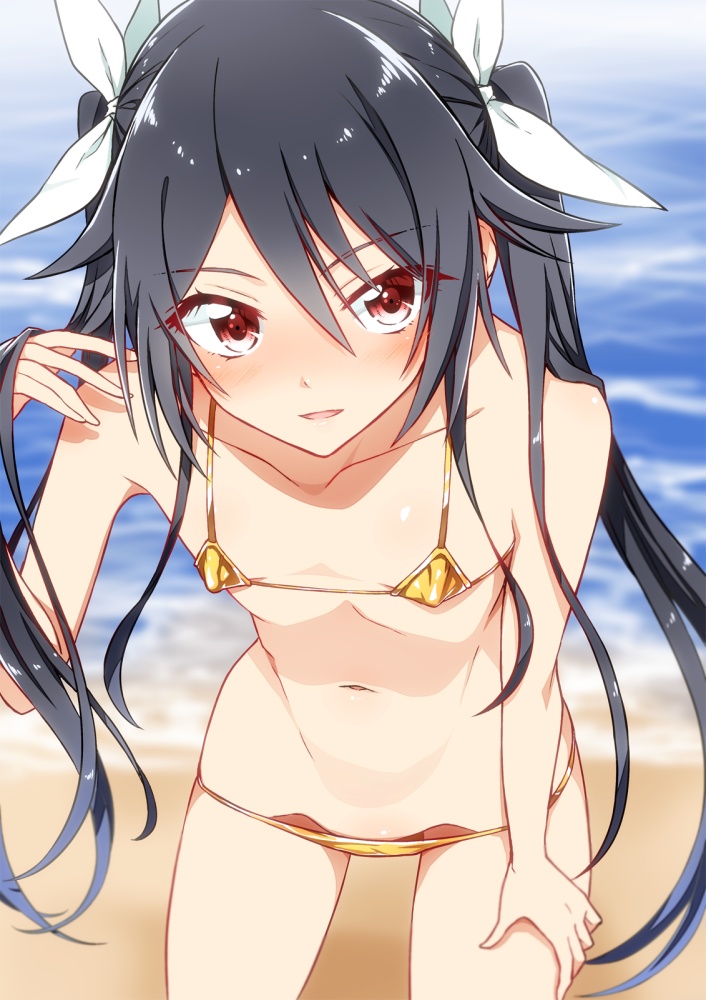 ビキニの抜けるエロ画像ください！