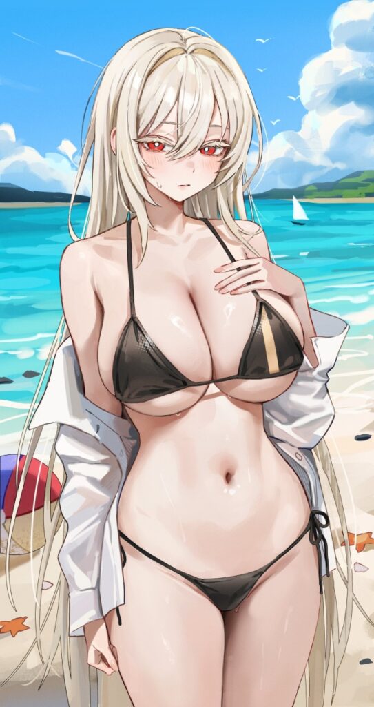 ビキニのエロ画像下さい