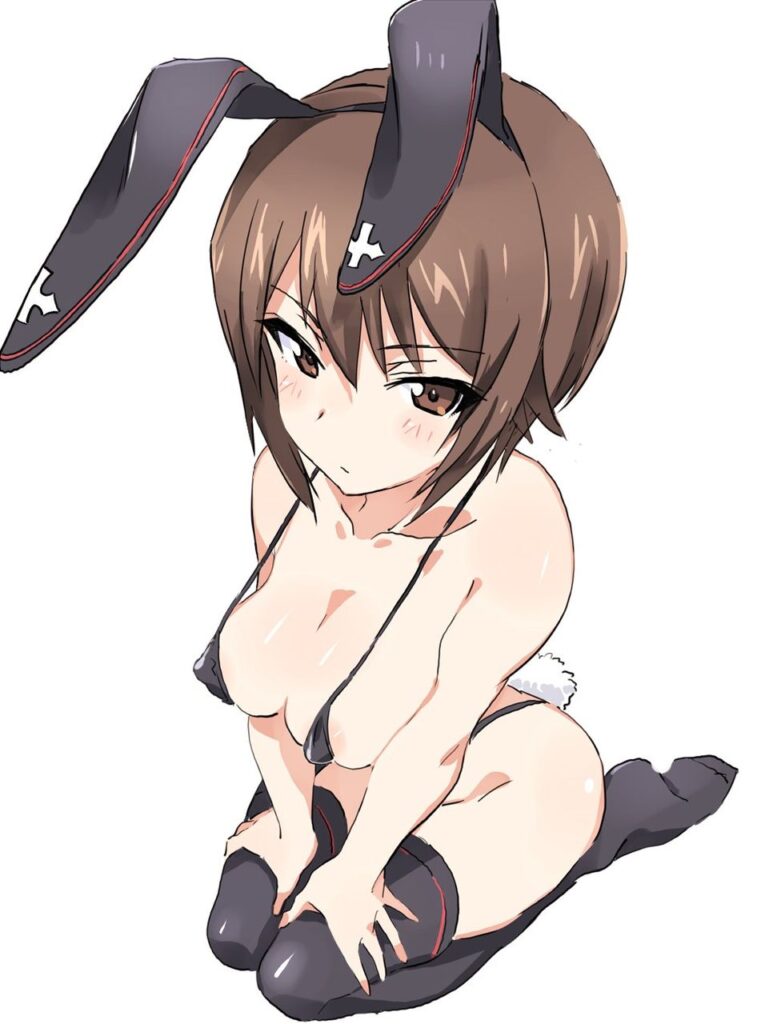 ビキニのエロ画像下さい