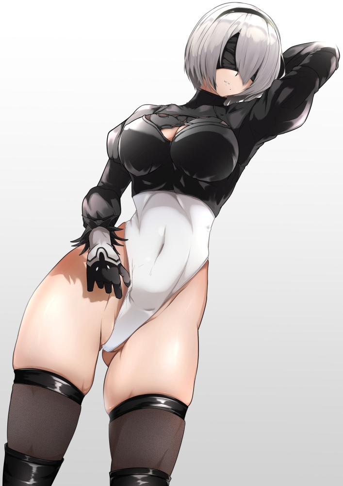 NieR Automataでしこれる二次画像ください！