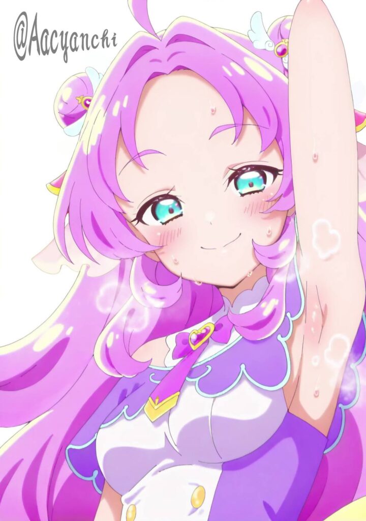 プリキュアのエロ画像がほしい!