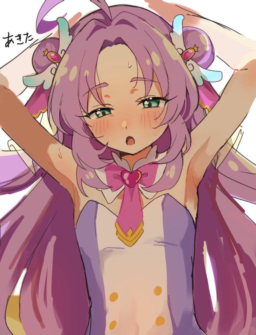 プリキュアのエロ画像がほしい!