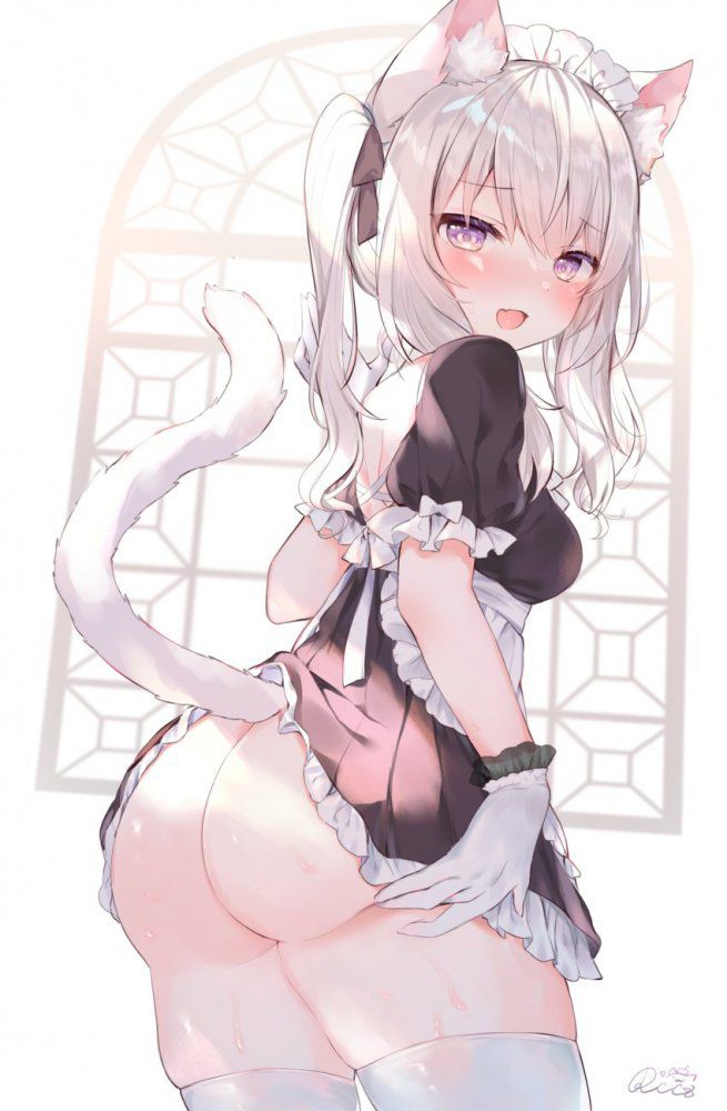 尻のエロ画像でヌきたい奴らは集まれ!