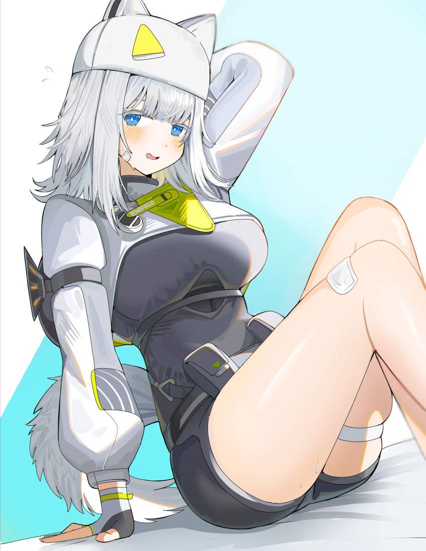 アークナイツの抜けるエロ画像まとめ！