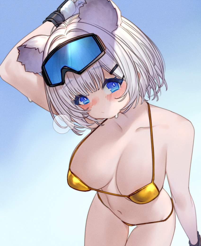 アークナイツのエロ画像がほしい!