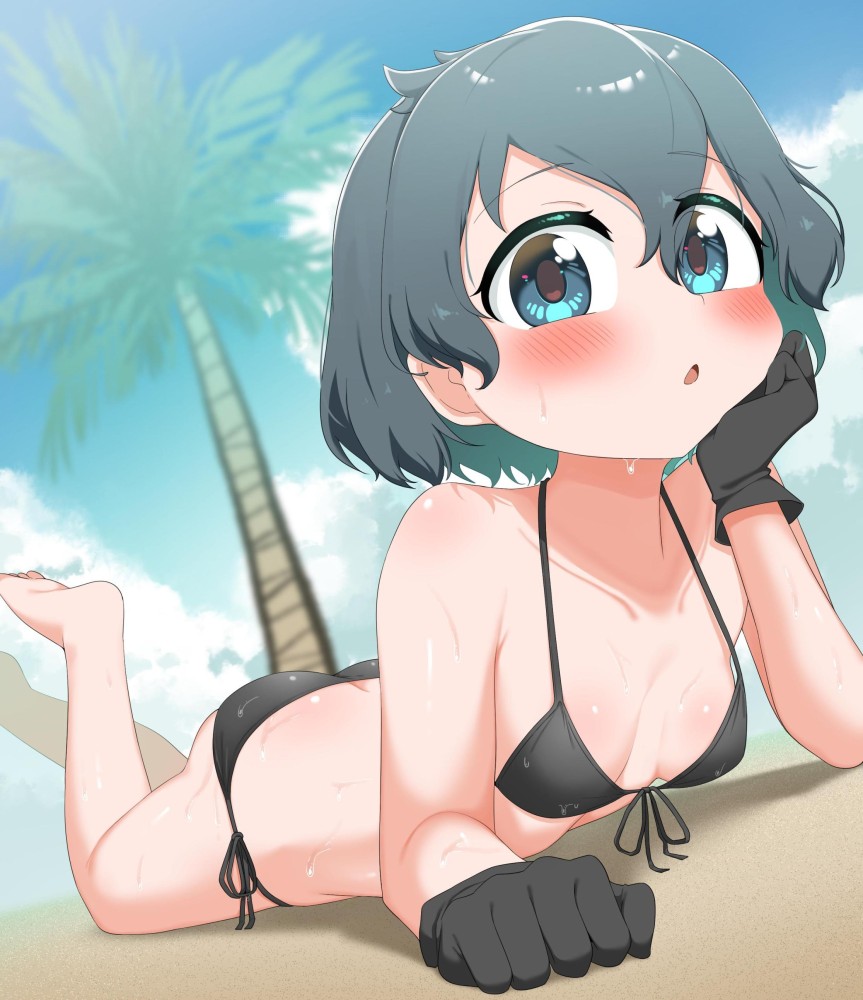 ビキニの二次エロ画像くだしあ。