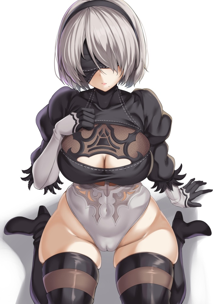 NieR Automataでしこれる二次画像ください！